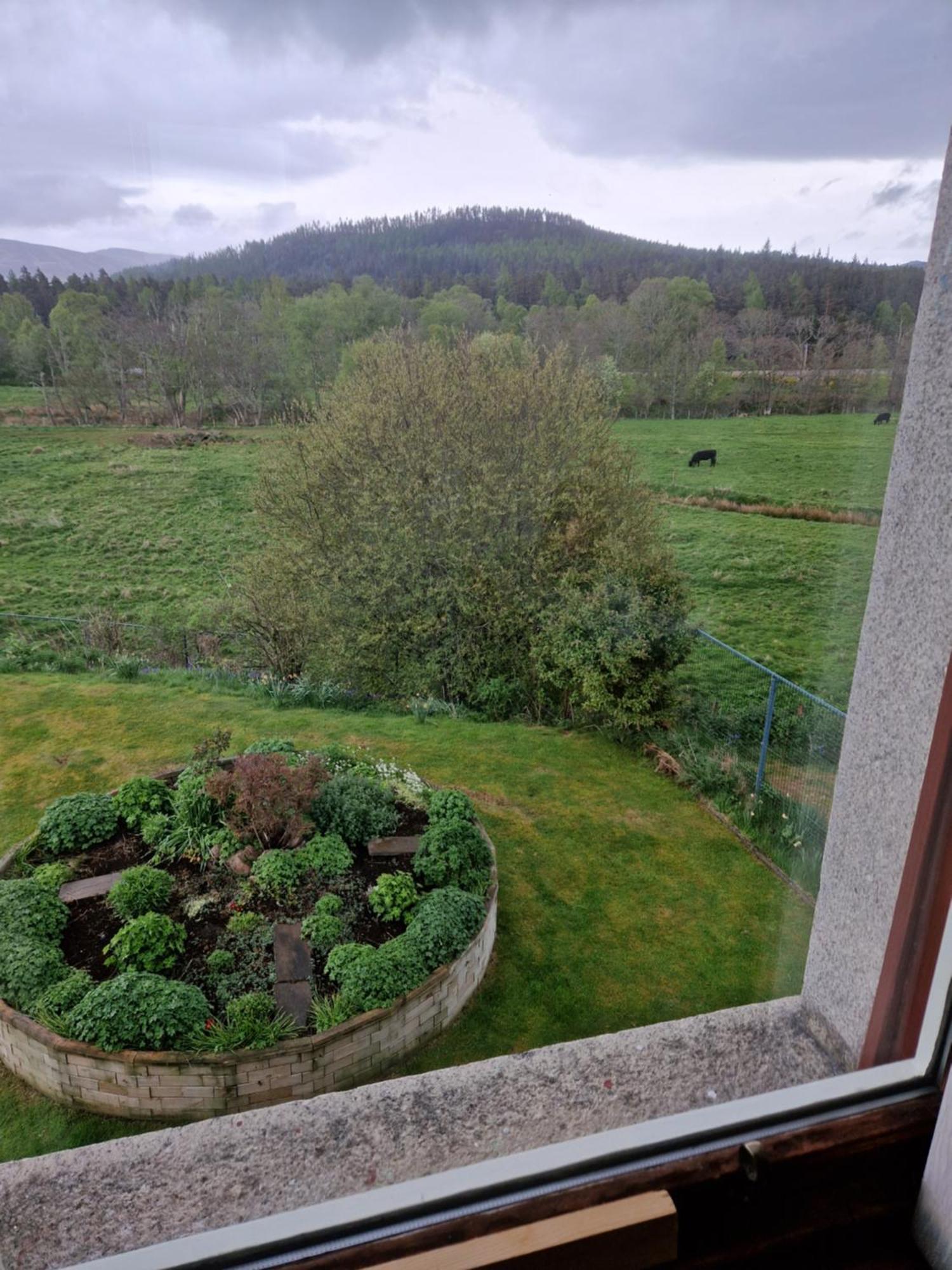 Creag Meggan Bed & Breakfast Ballater Rom bilde